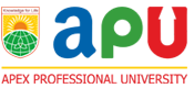 Apex Professional University