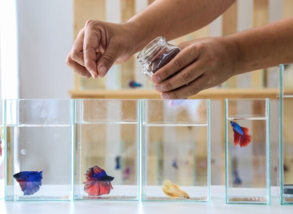 Pharmacy - M.Sc. – Zoology