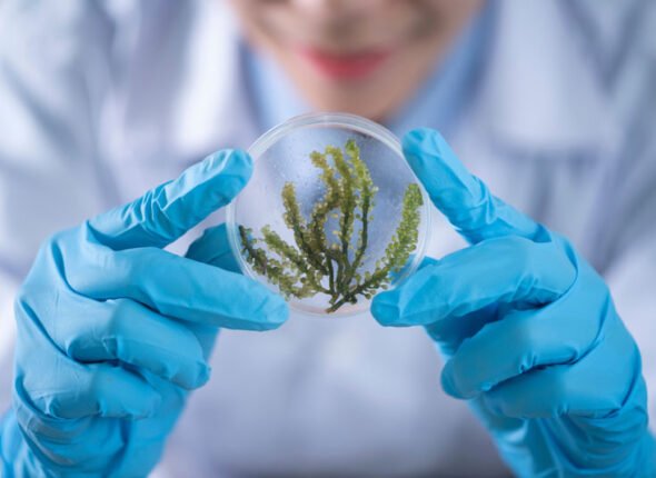 M.Tech-Biotechnology